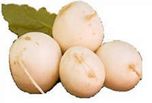 Beet White product image