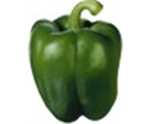 Produktbild Grüner Paprika