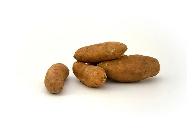 afbeelding van het product Zoete aardappel